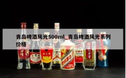 青岛啤酒风光500ml_青岛啤酒风光系列价格